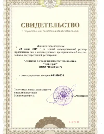 Свидетельство о государственной регистрации ИлисГрад